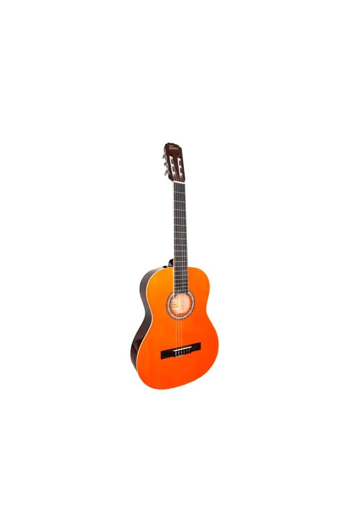 GUITARRA CLASICA FREEDOM CG500